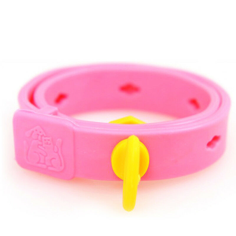 Dog Kitten Adjustable Pet Collar Neck Strap Remedy Anti Flea Mite Acari Tick  Gw