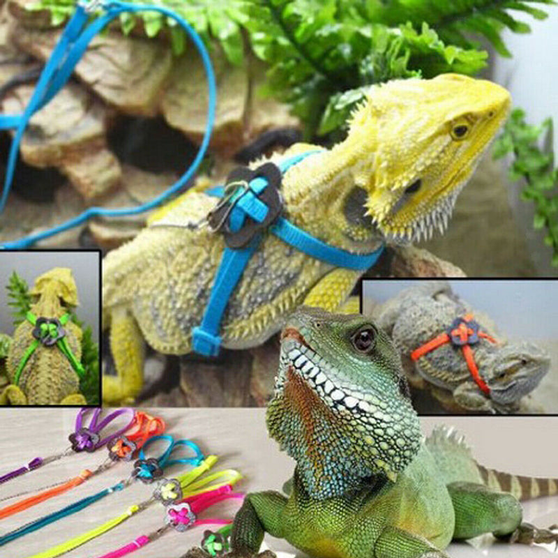 2pcs Adjustable Reptile Lizard Harness Leash Rope Light Soft Anti-bite