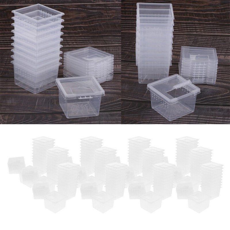 Set of 120 Reptile Food Feeding Container Turtle Feeding Box For Lizards