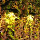 Solar Outdoor Wall Light Waterproof 12 LED Garden Street Lamp (Warm Light) A