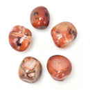 5Pcs Natural Banded Agate Madagascar,Xlarge Tumbled Beautiful Patterns  ME