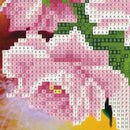 5D Peony Diamond Painting Embroidery DIY Craft Cross Stitch Home Decor Gift