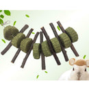 Bunny Chew Toys for Teeth, Organic  Wood Molar Sticks