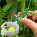 100pcs Veggie Garden Plant Support Clips for Trellis Twine Tomato Greenhouse