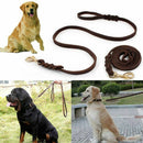 2M Long Leather Braided Pet Dog Walk Traction Collar Strap Training Leash L P2D1
