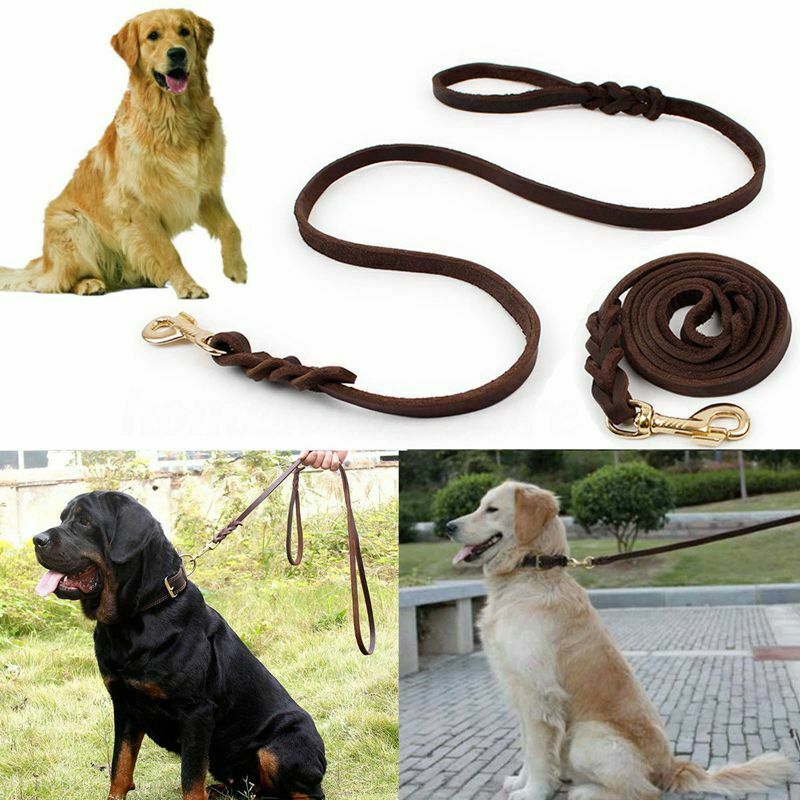 2M Long Leather Braided Pet Dog Walk Traction Collar Strap Training Leash L P2D1