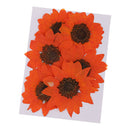 6pcs Pressed Dried Real Flower Sunflower Scrapbooking Embellishments Orange