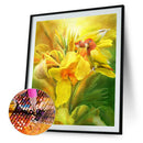 5D Diamond Painting Flower DIY Full Round Drill Mosaic Rhinestone Drawing