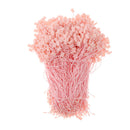 1000pcs  Tag Nylon Rope String Snap Lock Pin Loop Tie Fasteners -Pink