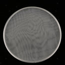 1 Piece White Bass Drum Head Double Layer Silent Mute Drum Skin 8inch