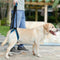 Doglemi Pet Dogs Aid Assist Tool Adjustable Dog Lift Harness For Back Legs PN1S9