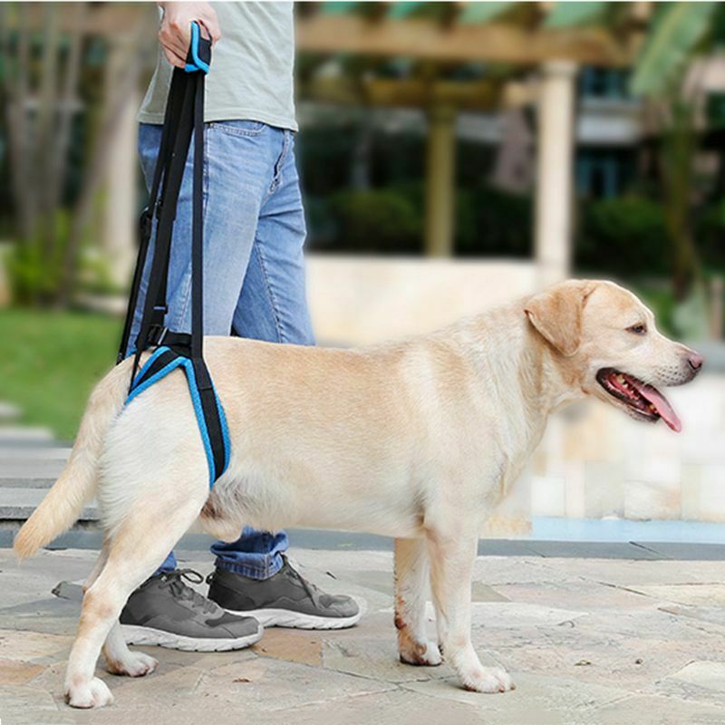 Doglemi Pet Dogs Aid Assist Tool Adjustable Dog Lift Harness For Back Legs PN1S9