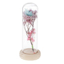 Glass Display Cloche Jar Dome Flower Immortal Preservation Vase Ornament