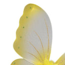 Kids Girl Fairy Wing, Party Costume Accessory, Fairy Costume for Kids, Hall