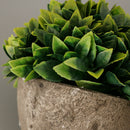 Plastic Artificial Potted Plants Green Grass -13cm / 5.12''(Height)-Green