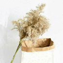 10 Pcs Natural Big Reed Grass Bunch Dried Flower Bouquet Wedding Decor 55cm Set