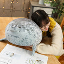 Cute Sea Lion Plush Toys Soft Animal Seal Pillow Plush Stuffed Toys (40cm)