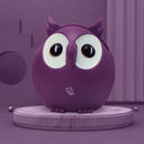 Plastic Cute Owl Music Box Kid Xmas Birthday Gift Household Decor Ornaments