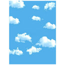 3x5ft Blue Sky White Cloud Photography Backdrop Screen Background Studio Pr J7C1