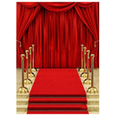 5x7ft Vinyl Red Carpet Curtain Backdrop Studio Photography Photo Background
