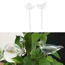 2X Glass Plant Flowers Water Slow Feeders Self Watering Bird Snail Pla FLN