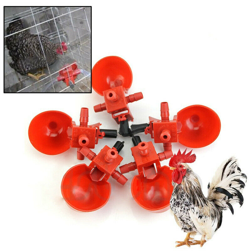5 Pieces Bird Coop Bird Chicken Feed Automatic Poultry Drinking Water Cup B1F2
