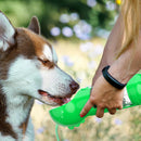 Multi-function Portable Pet Water Bottle Small Dogs Drinking Bowl (Green)