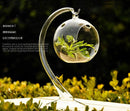 Hanging Glass Ball Candlestick Flower Vase Terrarium Wedding Decor + Stand