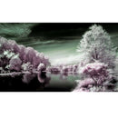 Zomei 67mm Infrared Filter 850nm X-RAY IR Filters for DSLR Cameras