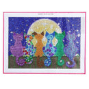 Full 5D Diy Diamond Painting Kit, Moon And Colored Cat Shaped Embroidery Cr E7P9