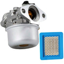 799868 Carburetor for Briggs & Stratton 498170 799872 694202 498966 14111 4 R6Z5