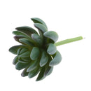 Artificial Cactus Plants Unpotted Plastic Succulent Cactus Home Plant