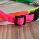 Colorful Rainbow Pet Dog Collar Harness Leash Soft Walking Durable Traction Rop-