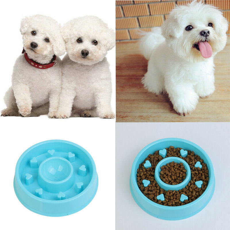 Pet Dog Slow Down Eating Feeder Dish Pet Cat Puppy Feeding Food Bowl Blue