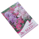 Purple Gladiolus Bulbs Beautiful Gladiolus Flower Garden Courtyard fruit pla OZ
