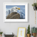5D DIY Full Drill Diamond Painting Eagle Cross Stitch Embroidery (C1201)