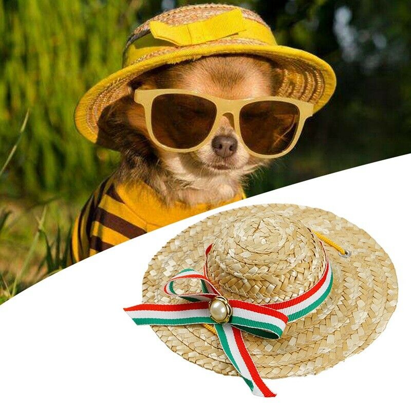 Mini Pet Dogs Sombrero Sun Hat Beach Party Straw Hats Dogs fashion Style Ha T1R2