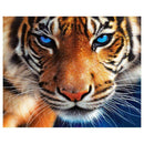 Full Drill Diamond 5D DIY Painting Tiger Embroidery Cross Stitch Home Decor