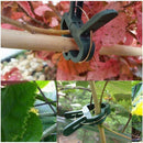 31pcs Plants Flower Seedling Stem Support Plant Grafting Stakes Connector