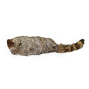 Raccoon Magic Stage Street Illusions Gimmick Accessories Prop Funny Appear  V4V6