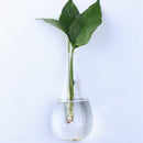 Hanging Clear Home Glass Wall Mounted Hanging Vase Bottle Plant Flower Ball P1P8