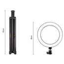 10 Inches Selfie Led Ring Light With Tripod Stand And Cell Phone Holder Des