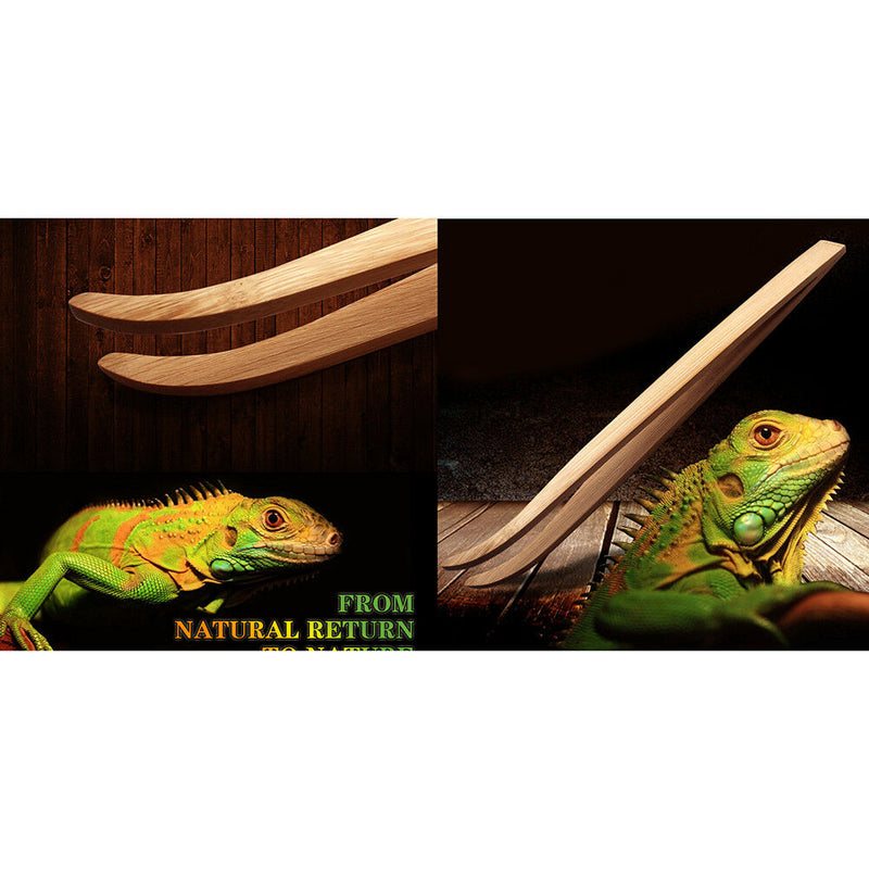 Eco-Friendly Bamboo Tool Angled Reptile Terrarium Feeding Tweezers JR