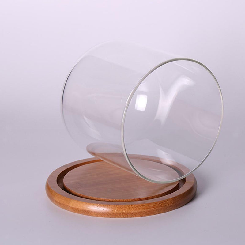 Glass Display Bell Jar Dome Cloche With Bamboo Base Decorative Desk Stand S