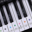 Keyboard Piano Black Removable Piano and Keyboard Stickers for 49 61 76 88  Jâ„–[