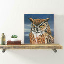 Gloryart 5D DIY Full Drill Diamond Painting Owl Embroidery Crafts (lw013)