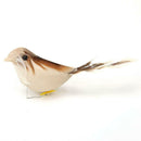 12pcs Artificial Bird Simulation Color Feather DIY Craft Wedding Home Decor