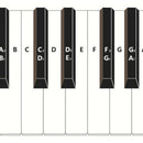 88 Key Beginner Piano Finger Practice Guide Teaching Keyboard Aid Notes Chart