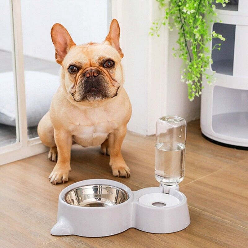 Cat Bowl Dog Water Feeder Bowl Cat Kitten Drinking Fountain Food Dish Pet B