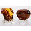 Acrylic Display Stand for Fossils, Minerals, Rocks, Geode, Agate, Crystals,